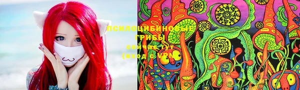 меф Арсеньев