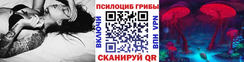 блэк спрут зеркало Аркадак Псилоцибиновые грибы мухоморы