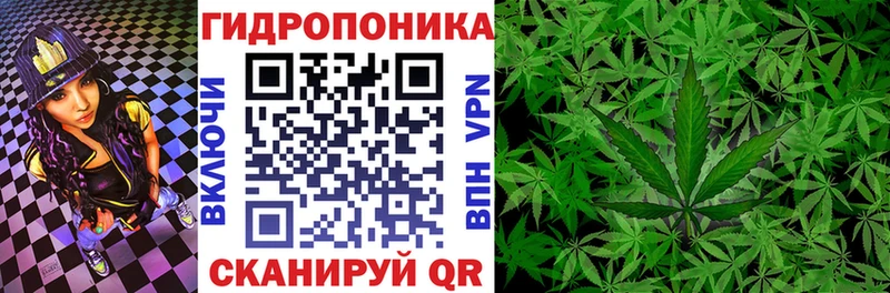 Каннабис Bruce Banner Аркадак
